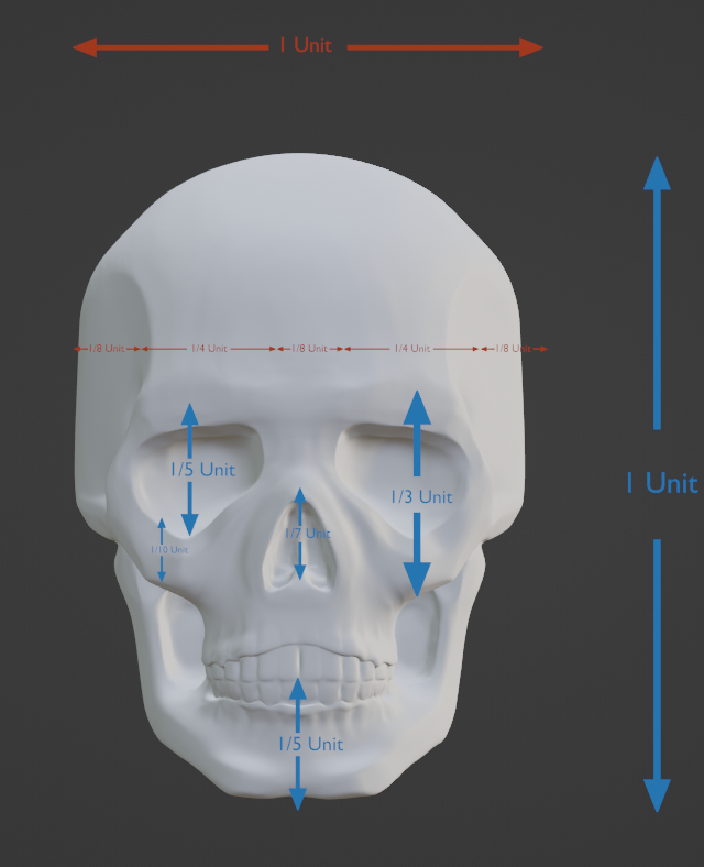 Skull Practice preview image 1